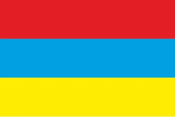 Прапор СМТ Новоайдар, Україна