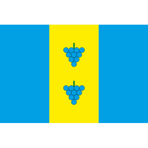 Флаг ПГТ Подбуж, Украина. Вариант-02