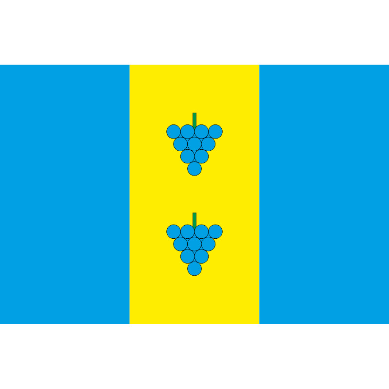 Флаг ПГТ Подбуж, Украина. Вариант-02 Флаг ПГТ Подбуж, Украина. Вариант-02