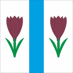 Флаг ПГТ Беленькое, Украина. Вариант-01 Флаг ПГТ Беленькое, Украина. Вариант-01