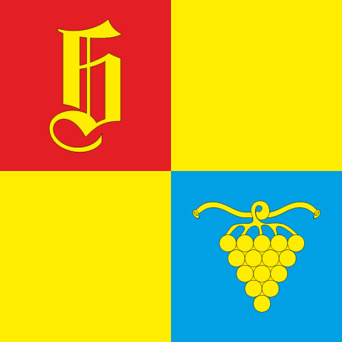 Флаг ПГТ Березанка, Украина. Вариант-01
