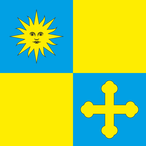 Флаг ПГТ Браилов, Украина. Вариант-01 Флаг ПГТ Браилов, Украина. Вариант-01