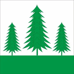 Флаг ПГТ Брюховичи, Украина. Вариант-01