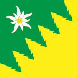 Флаг ПГТ Ворохта, Украина. Вариант-01