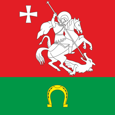 Флаг ПГТ Голобы, Украина. Вариант-01