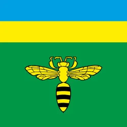 Флаг ПГТ Запытов, Украина. Вариант-01 Флаг ПГТ Запытов, Украина. Вариант-01