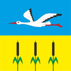 Флаг ПГТ Заречное, Украина. Вариант-01 Флаг ПГТ Заречное, Украина. Вариант-01