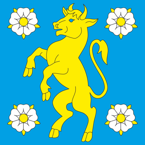 Флаг ПГТ Кельменцы, Украина. Вариант-01 Флаг ПГТ Кельменцы, Украина. Вариант-01