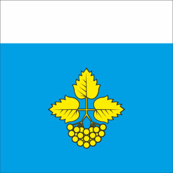 Флаг ПГТ Лысянка, Украина. Вариант-01 Флаг ПГТ Лысянка, Украина. Вариант-01