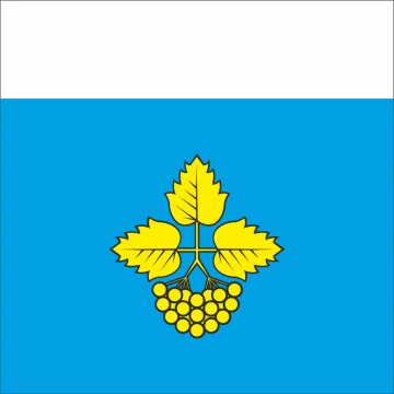 Прапор СМТ Лисянка, Україна. Варіант-01