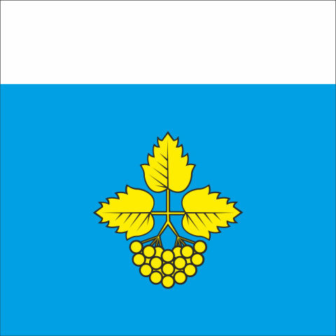 Флаг ПГТ Лысянка, Украина. Вариант-01 Флаг ПГТ Лысянка, Украина. Вариант-01