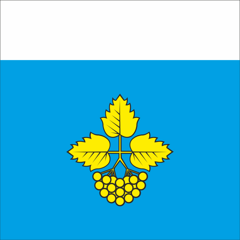 Флаг ПГТ Лысянка, Украина. Вариант-01 Флаг ПГТ Лысянка, Украина. Вариант-01
