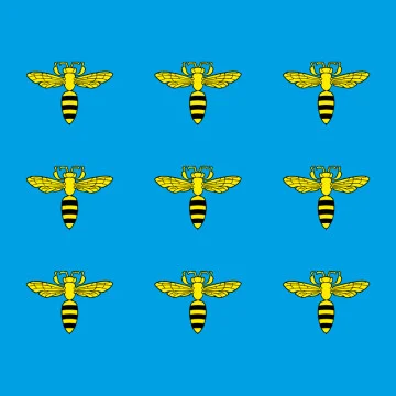Прапор СМТ Меденичі, Україна. Варіант-01