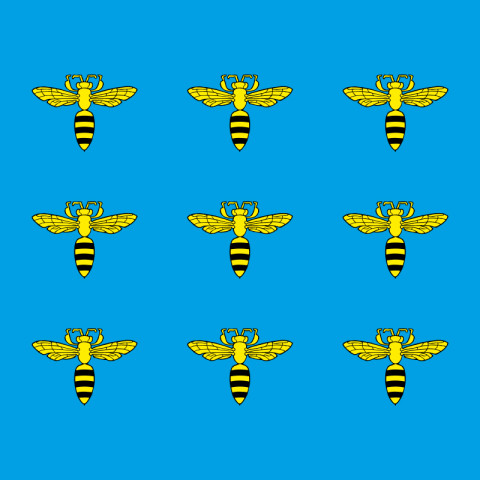 Флаг ПГТ Меденичи, Украина. Вариант-01 Флаг ПГТ Меденичи, Украина. Вариант-01