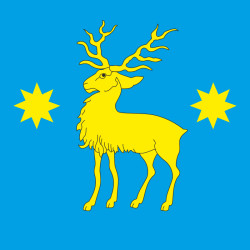 Флаг ПГТ Нижанковичи, Украина. Вариант-01 Флаг ПГТ Нижанковичи, Украина. Вариант-01
