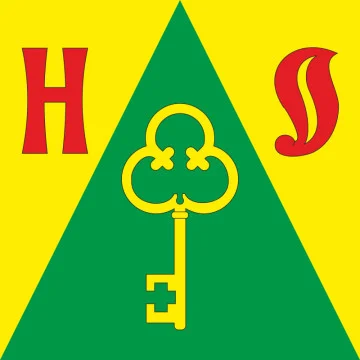 Прапор СМТ Новооржицьке, Україна. Варіант-01