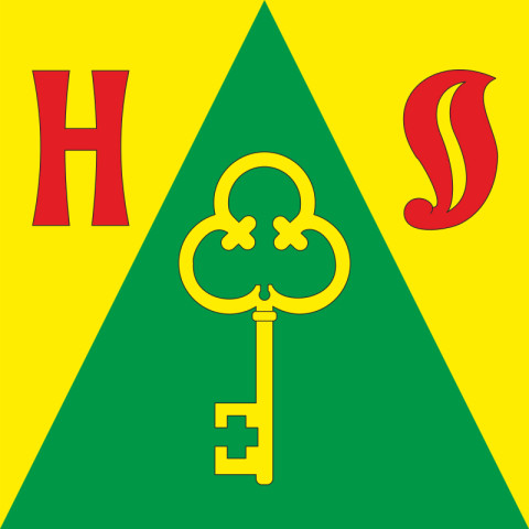 Прапор СМТ Новооржицьке, Україна. Варіант-01 Прапор СМТ Новооржицьке, Україна. Варіант-01