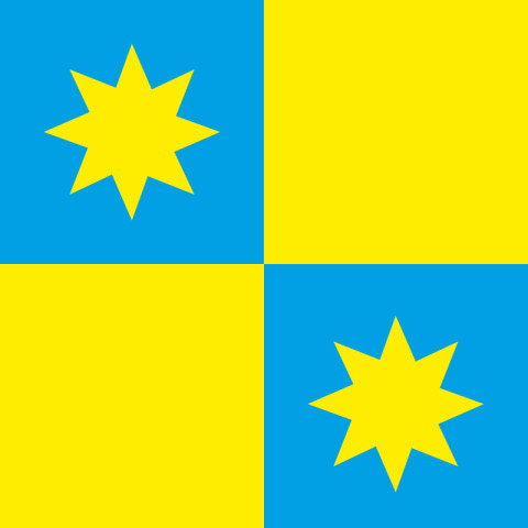 Флаг ПГТ Новый Ярычев, Украина. Вариант-01