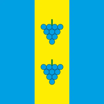 Прапор СМТ Підбуж, Україна. Варіант-01