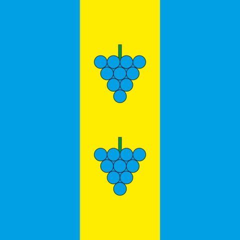 Флаг ПГТ Подбуж, Украина. Вариант-01 Флаг ПГТ Подбуж, Украина. Вариант-01