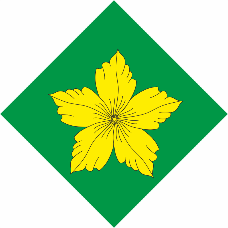 Флаг ПГТ Ракитное, Украина (Ровенская область). Вариант-01 Флаг ПГТ Ракитное, Украина (Ровенская область). Вариант-01
