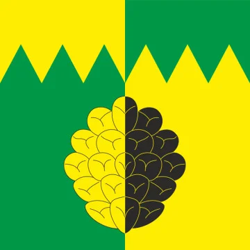 Прапор СМТ Соснове, Україна. Варіант-01