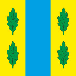 Флаг ПГТ Старый Салтов, Украина. Вариант-01