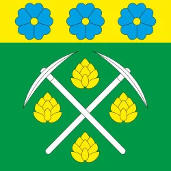 Флаг ПГТ Черняхов, Украина. Вариант-01