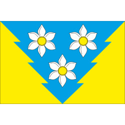 Флаг Хустского района Закарпатской области Украины