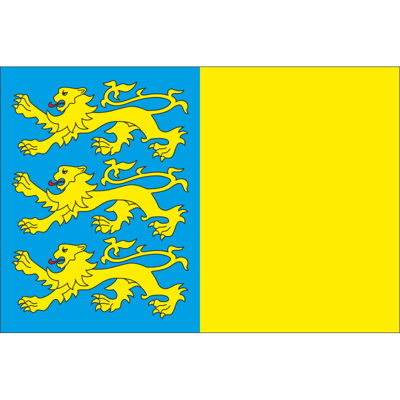 Флаг Жидачовского района Львовской области Украины Флаг Жидачовского района Львовской области Украины