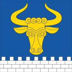 Флаг села Заворичи Броварского района Киевской области Украины