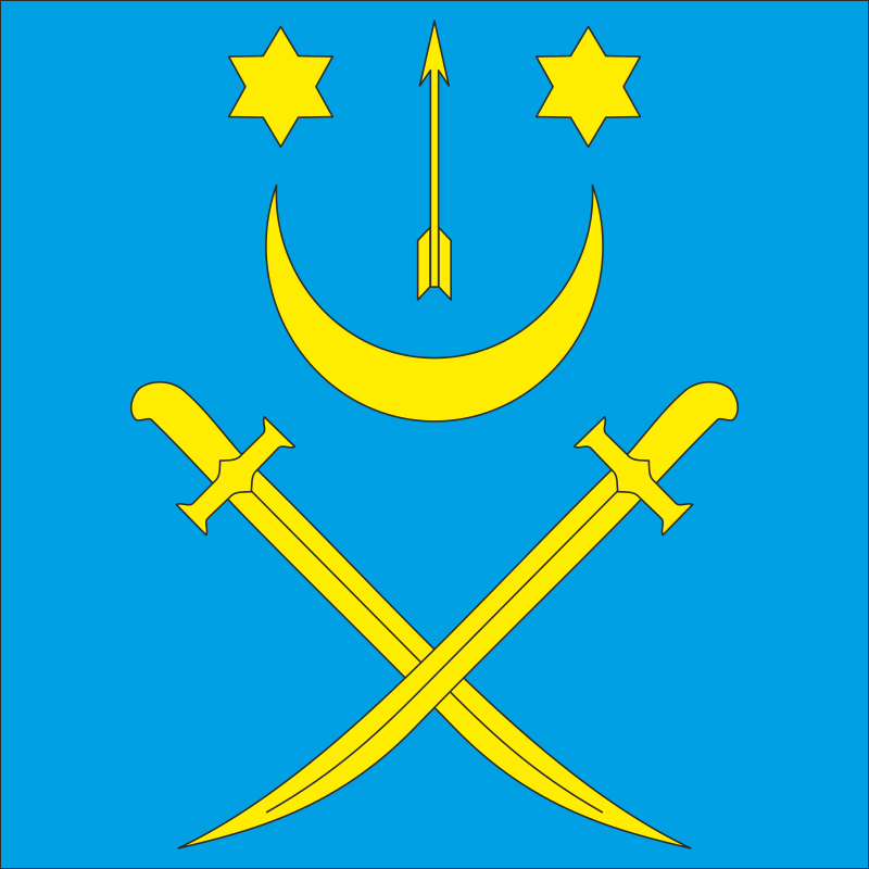 Флаг села Бачина Самборского района Львовской области Украины Флаг села Бачина Самборского района Львовской области Украины