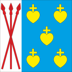 Флаг села Дмитровичи Львовского района Львовской области Украины