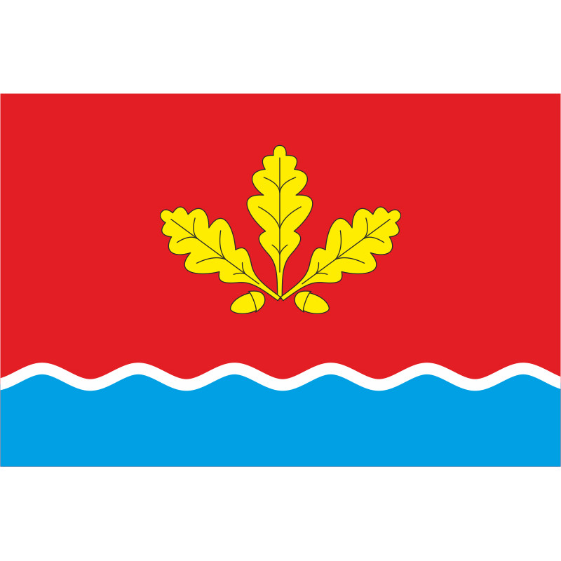 Флаг села Дениши Житомирского района Житомирской области Украины Флаг села Дениши Житомирского района Житомирской области Украины