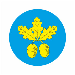 Прапор села Дятилівка Шепетівського району Хмельницької області України Прапор села Дятилівка Шепетівського району Хмельницької області України
