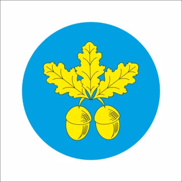 Флаг села Дятиловка Шепетовского района Хмельницкой области Украины Флаг села Дятиловка Шепетовского района Хмельницкой области Украины