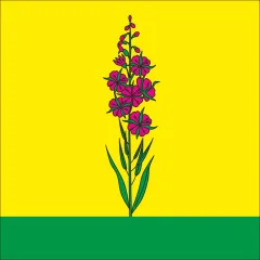 Флаг села Ивановка Шепетовского района Хмельницкой области Украины