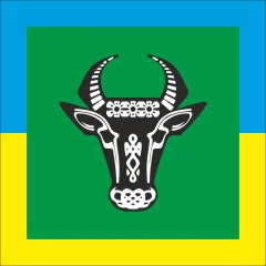 Флаг села Копачовка Хмельницкого района Хмельницкой области Украины