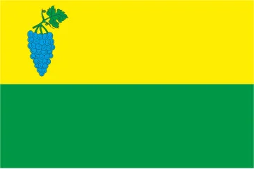 Флаг села Зарожаны Днестровского района Черновицкой области Украины Флаг села Зарожаны Днестровского района Черновицкой области Украины
