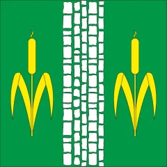 Флаг села Любиковичи Сарненского района Ровненской области Украины