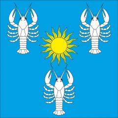 Флаг села Радковица Хмельницкого района Хмельницкой области Украины