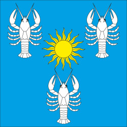 Флаг села Радковица Хмельницкого района Хмельницкой области Украины Флаг села Радковица Хмельницкого района Хмельницкой области Украины