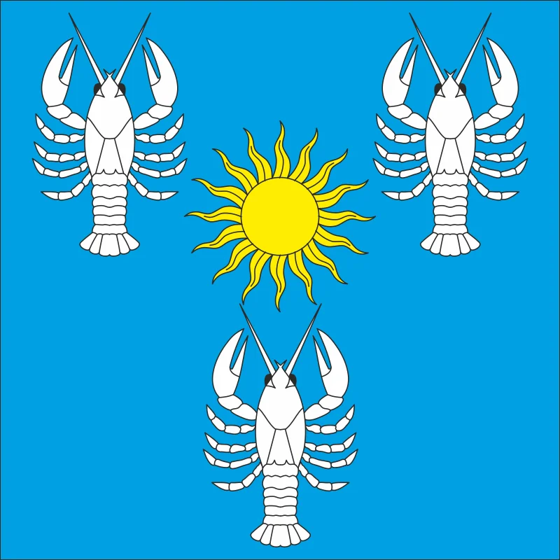 Флаг села Радковица Хмельницкого района Хмельницкой области Украины Флаг села Радковица Хмельницкого района Хмельницкой области Украины