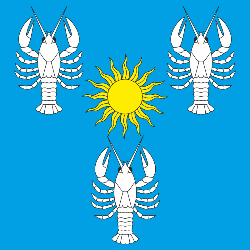 Флаг села Радковица Хмельницкого района Хмельницкой области Украины Флаг села Радковица Хмельницкого района Хмельницкой области Украины