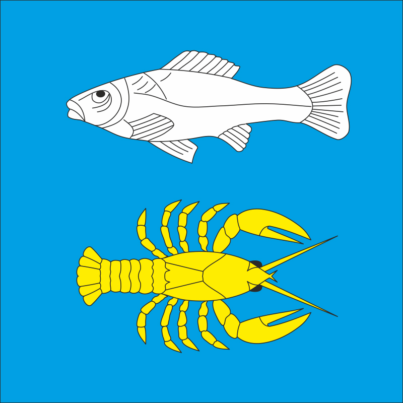Прапор села Рябіївка Хмельницького району Хмельницької області України Прапор села Рябіївка Хмельницького району Хмельницької області України
