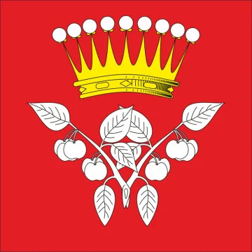 Флаг села Колыбаевка Каменец-Подольского района Хмельницкой области Украины
