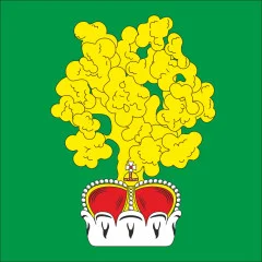 Флаг села Княгинин Каменец-Подольского района Хмельницкой области Украины