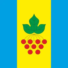 Флаг села Пядики Коломыйского района Ивано-Франковской области Украины