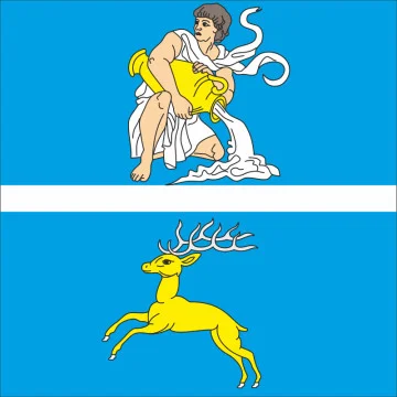 Флаг села Каменка Хмельницкого района Хмельницкой области Украины