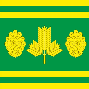Флаг села Сосновка Шепетовского района Хмельницкой области Украины